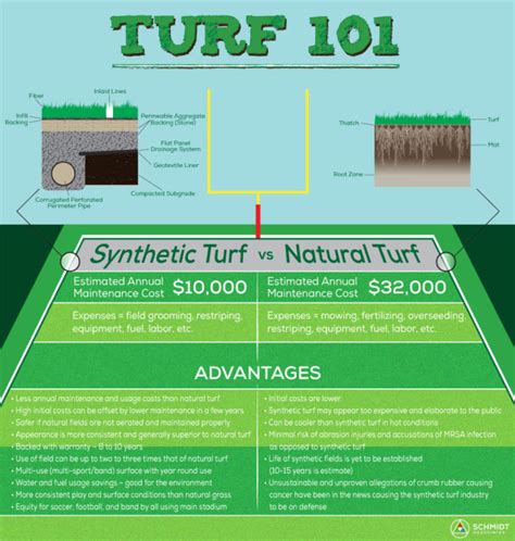 Synthetic Turf 101 Infographic Schmidt Associates