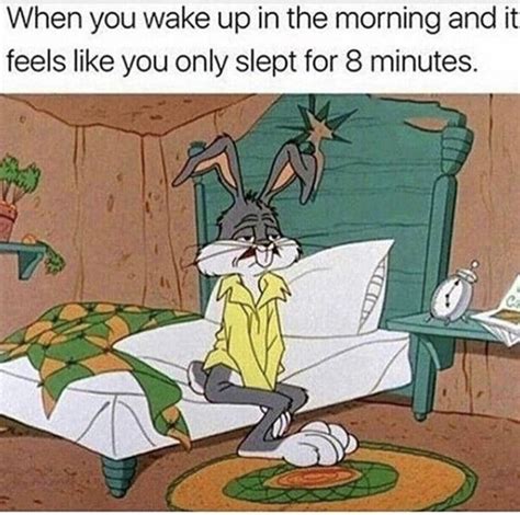 10 Funniest Bugs Bunny Memes Funny Relatable Memes