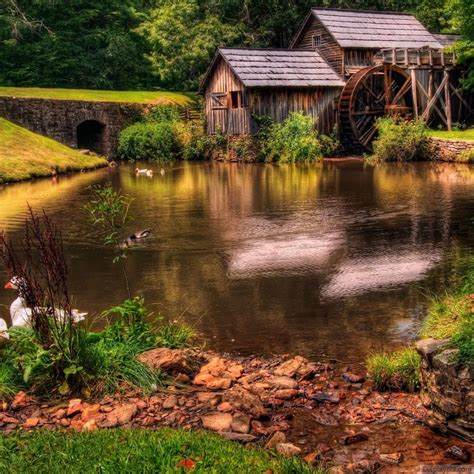 We did not find results for: Beautiful Nature Profile Pictures - Top Profile Pictures ...