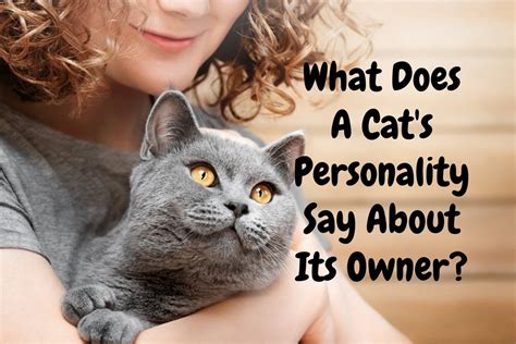 What Does A Cats Personality Say About Its Owner