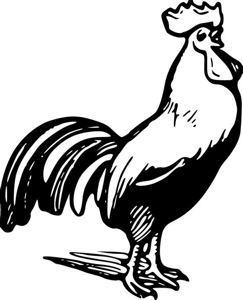 Download now gambar kartun ayam dan anak ayam bestkartun. Mewarnai Gambar Ayam Free Download - BLOG MEWARNAI