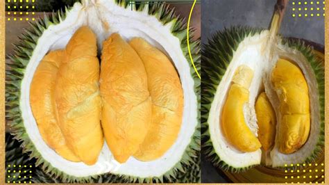 Durian Ioi D101 Musang King Pick Durian Fruit In My Sop Youtube