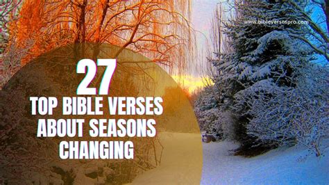 27 Top Bible Verses About Seasons Changing