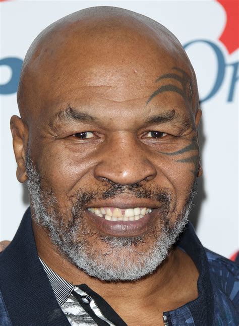Mike Tyson The Hangover Cast Then And Now How Their Lives Have