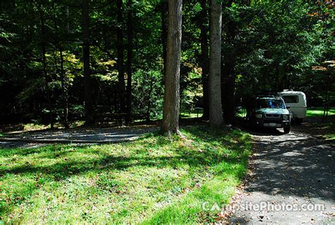 Elkmont Campsite Photos Campground Availability Alerts