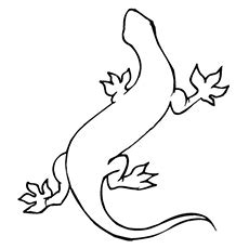They're free to use for classroom or personal use. Top 10 Free Printable Lizard Coloring Pages Online