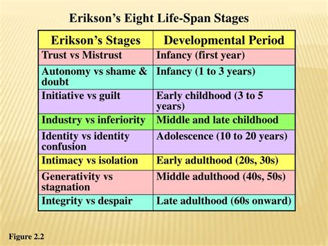 Erik Erikson Stages Worksheet