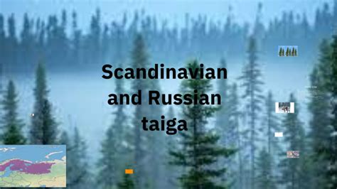 Scandinavian And Russian Taiga By N Castaneda