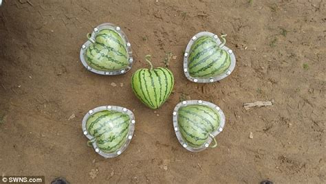 Chinese Company Grows Fruit Into Bizarre Shapes Daily