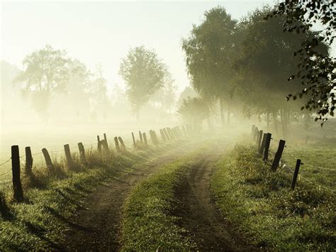 30 Examples Of Misty Photography Blog