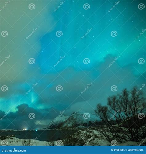 Picturesque Unique Nothern Lights Aurora Borealis Over Lofoten I Stock