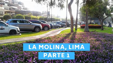Conociendo Lima La Molina Parte 1 ⛰🌳 Youtube