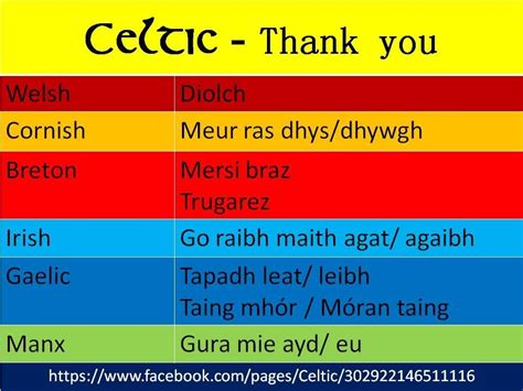 pin by bryn webster on cymraeg welsh language welsh words gaelic welsh language