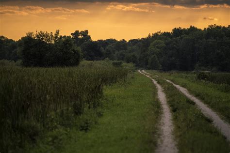 Hiking Path Into The Red Sunset At Horicon Marsh Image Free Stock