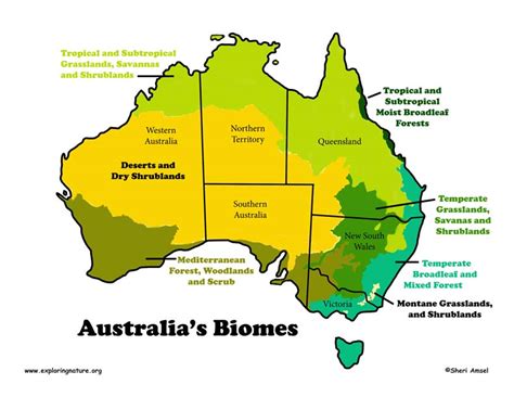 Australia Map Biomes Color72 