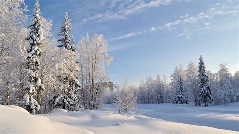 Beautiful Snowy Russian Winter Hd Wallpapers Page 3 Of 3 Volganga