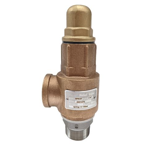 Bronze Closed Cap Pressure Relief Valve With Stainless Entry And Internals