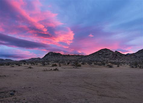 배경 화면 모하비 Mojavedesert 남서 캘리포니아 경치 풍경 사진 사막의 풍경 마른 모래 해돋이 라