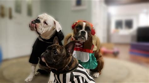 Doggy Halloween Fashion Show Wk 3042 Bratayley Youtube