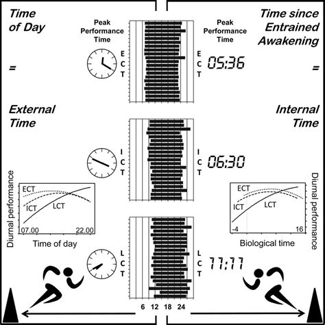 The Impact of Circadian Phenotype and Time since Awakening on Diurnal