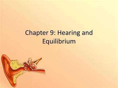 Ppt Chapter 9 Hearing And Equilibrium Powerpoint Presentation Free