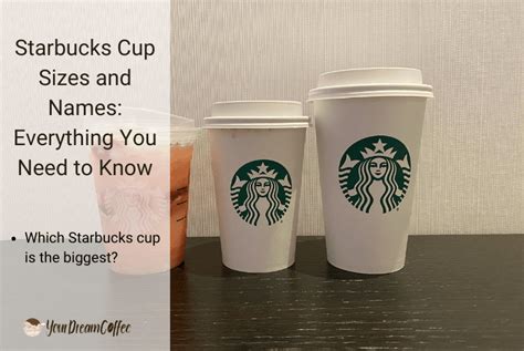 Starbucks Cup Sizes And Names Everything You Need To Know