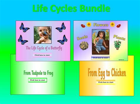 Life Cycles Topic Bundle Teaching Resources
