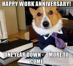 Happy 2 year work anniversary cat meme. Image result for work anniversary meme | Funny dog memes ...