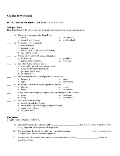 Maybe practiced at the beach where living human bodies. 13 Best Images of Male Reproductive System Diagram Worksheet - Male Reproductive System ...