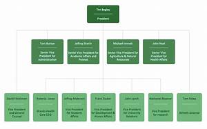 Organization Chart Create Organizational Chart Organizational