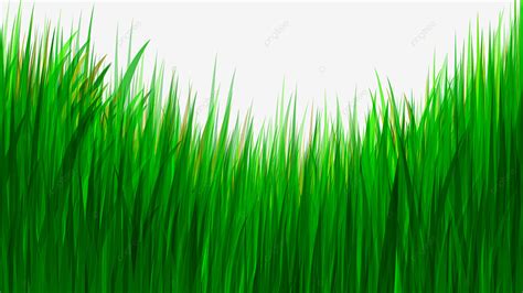 Gambar Kartun Rumput Hijau Png Kartun Rumput Png Kartun Rumput