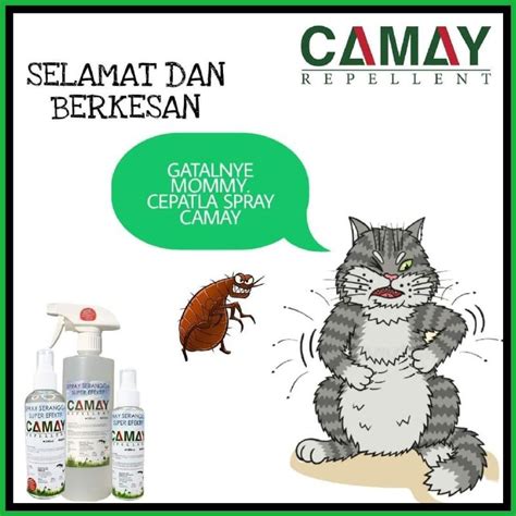 CAMAY SPRAY ANTI KUTU HAIWAN READY STOCK Shopee Malaysia