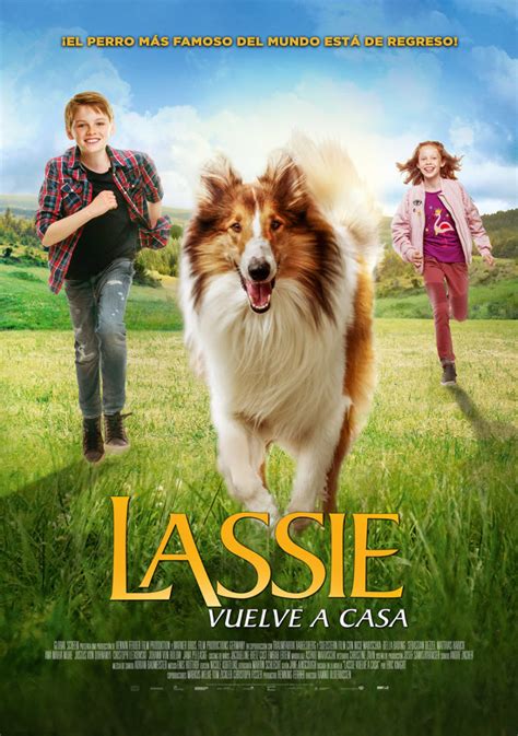 Lassie Vuelve A Casa El Regreso Del Perro Más Querido Del Cine Style