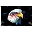 Patriotic Eagle 2ftx3ft Nylon Flag 2x3 Made In USA