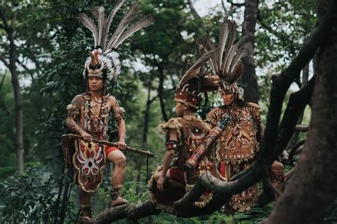 Asal Usul Suku Dayak Di Kalimantan