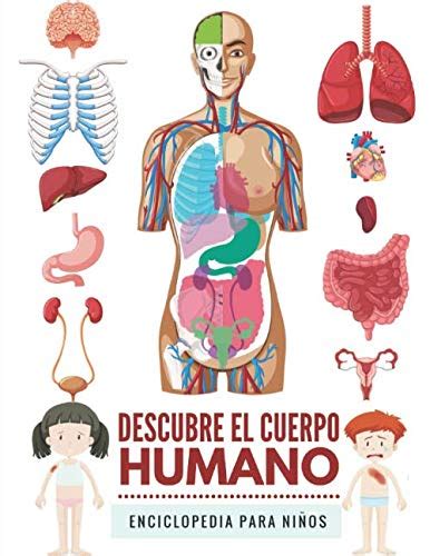 Descubre El Cuerpo Humano Enciclopedia Cuerpo Humano Para Niños