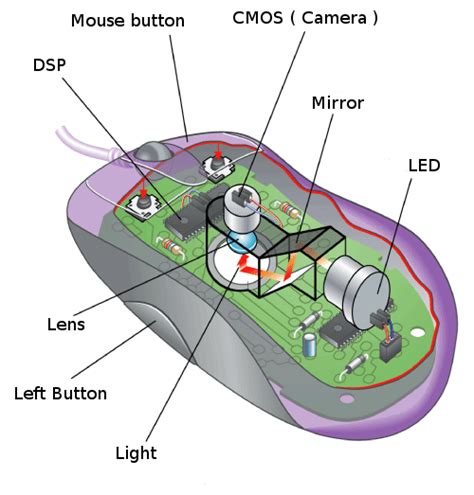 View our latest collection of free mouse schematic/ png images with transparant background, which you can use in your poster, flyer design, or presentation powerpoint directly. Computers Drivers | Tecnología ESO en Ingles