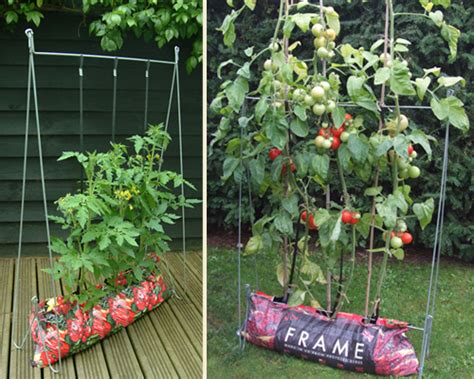 The Grow Bag Frame A Genius Idea For Gardening In Small Spaces Soon