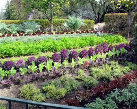 7 Edible Landscape Design Ideas To Make The Most Out Of Your Garden