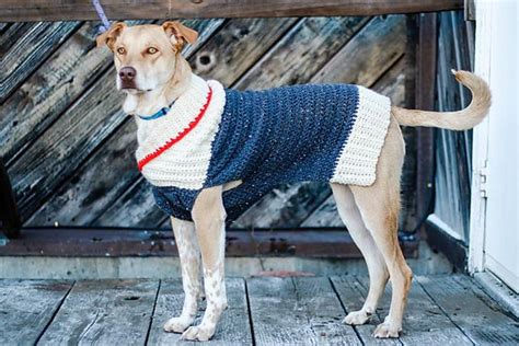 Dandy Dog Sweater Easy Crochet Dog Sweater Pattern