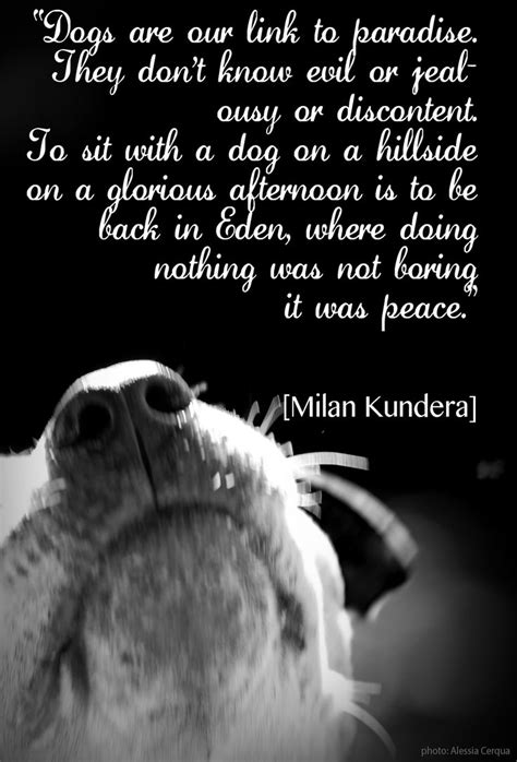 169 Best Dog Quotes And Poems Images On Pinterest
