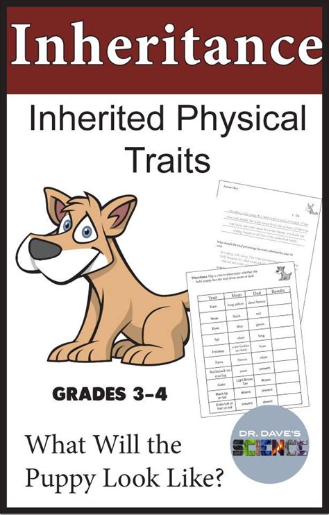 Inherited Traits Worksheet 3rd Grade