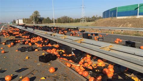 Early Halloween Highway Blocked By Pumpkins Tvp World