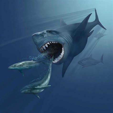 10 Terrifying Titans That Lived In Our Prehistoric Oceans