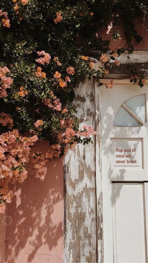 Omg Love This Door Photo Wall Collage Aesthetic Wallpapers Flower