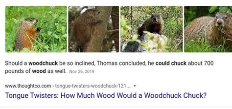 How Much Wood Would A Groundhog Chuck Quora