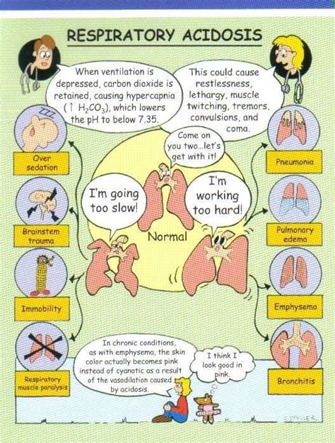 Ph effect is respiratory acidosis is an expected part of planned mechanical hypoventilation in icu (permissive hypercapnia). Respiratory Acidosis | NCLEX Nursing | Pinterest