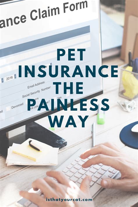 Keep in mind, though, that the cheapest health insurance isn't always the plan with the lowest monthly premiums. It does pay to have insurance for your pet even though it ...