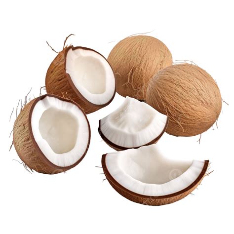 Set Of Coconuts Isolated Png Coconut Background White Png
