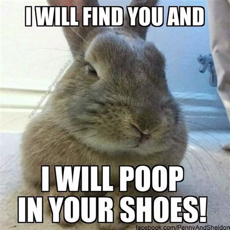 39 Most Funniest Rabbit Meme Graphics Pictures And Photos Picsmine